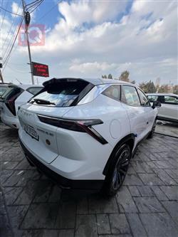 جيتور داشينج